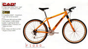Cannondale F 1000 | 204