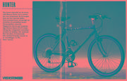 Batavus Hunter | 438